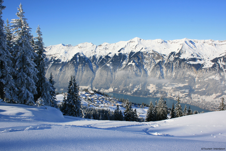 lake thun with snow capped peaks of the Jungfrau