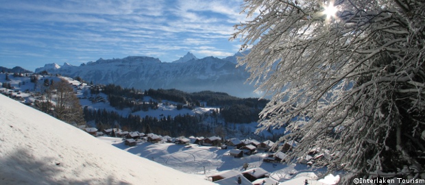 lake thun chalets for rent, interlaken