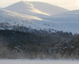 ski holidays aviemore, cairngorms