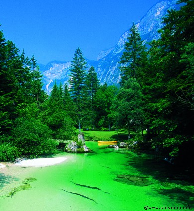 lakes and mountains holidays in slovenia, lake bled, summer holidays