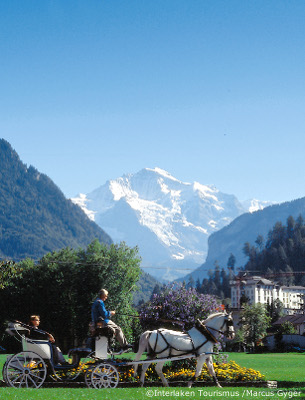 Iseltwald, lake-brienz, switzerland, apartments to rent in Iseltwald, Iseltwald accommodation