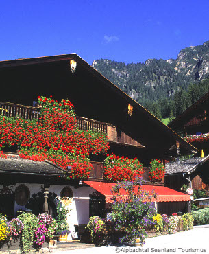 alpbach chalets covered in flowers, summer holidays