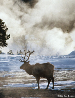 how to get to big ski ski resort, yellowstone