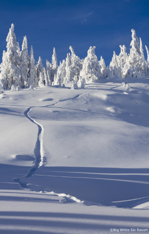 off-piste skiing at big white ski resort