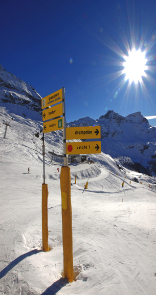 skiing in Gressoney-La-Trinite