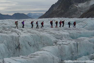 grindelwald - guided off-piste tours across the aletsch glacier