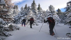 les angles ski touring