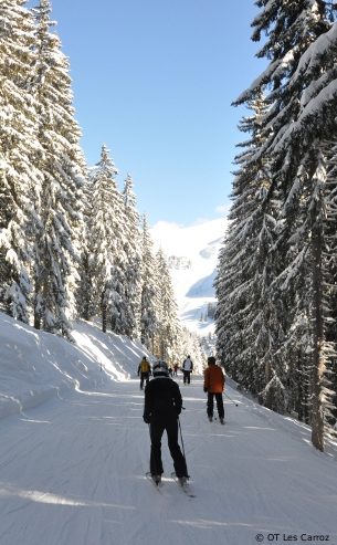 ski holidays in les-carroz, grand massif, france, skiing in les-carroz, ski chalets for rent, apartments to rent, holiday rentals, accommodation