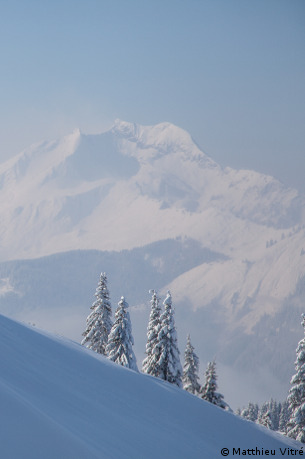 morzine ski resort guide - red run through the forest