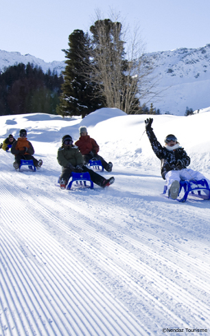 nendaz ski resort guide, valais, alpine luge