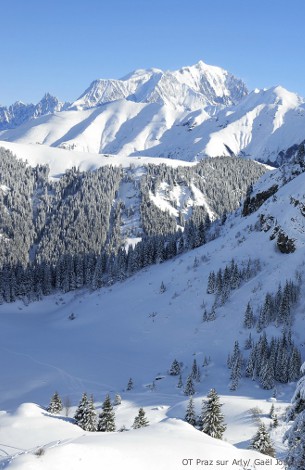 photo of the village of praz sur arly