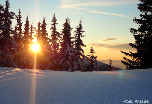 skiing in ramsau, ski holidays