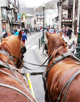 horse and carriage in saint lary village