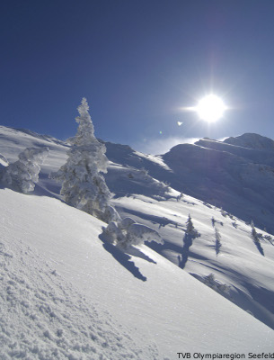 skiing in Seefeld, austria, ski holidays
  in Seefeld