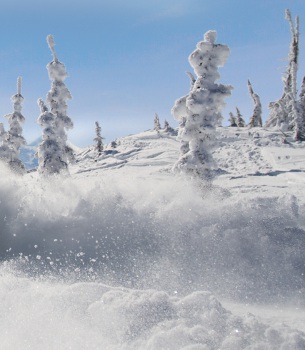 free riding 
in deep powder at silver star ski resort