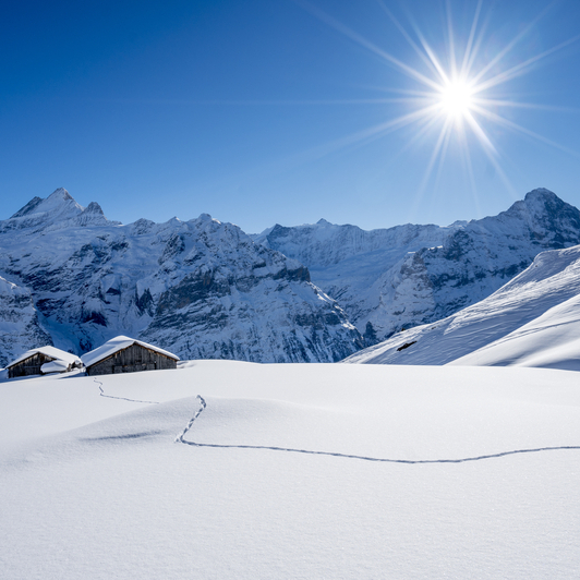 Wengen